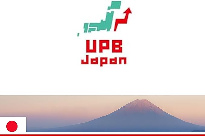 Kanda Iron Beijing Wok - Lightweight and Durable - Perfect for Authentic Japanese Cooking - 11.8 inch 30cm