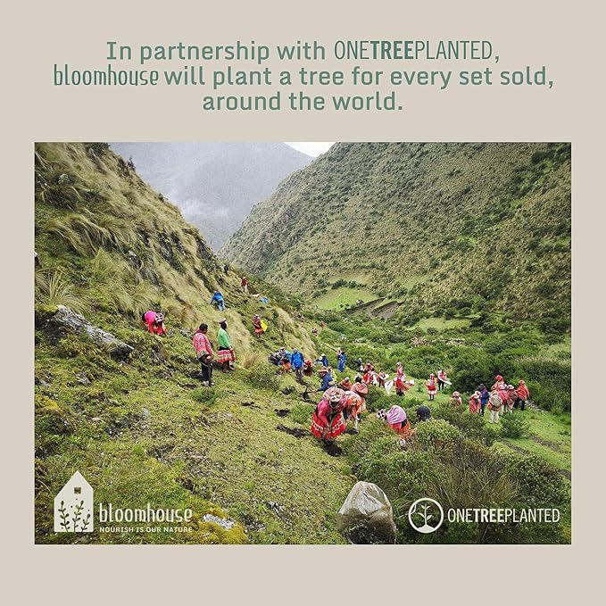 Bloomhouse Montecito Breeze 16 Piece (Service for 4) Double Plates and Bowls Stoneware Reactive Glaze Dinnerware Set - Terracotta Canyon