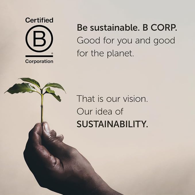 illy Ground Coffee Moka - 100% Arabica Beans - Rich Aromatic – Classico Medium Roast - Notes of Caramel, Orange Blossom & Jasmine - No Preservatives – 8.8 Ounce, 12 Pack