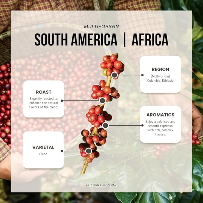 Reborn Coffee Specialty Whole Bean Coffee, Medium Roast, 12 Ounce, Reborn Signature Floresta Espresso Blend, Flavor Notes of Chocolate, Vanilla, and Orange