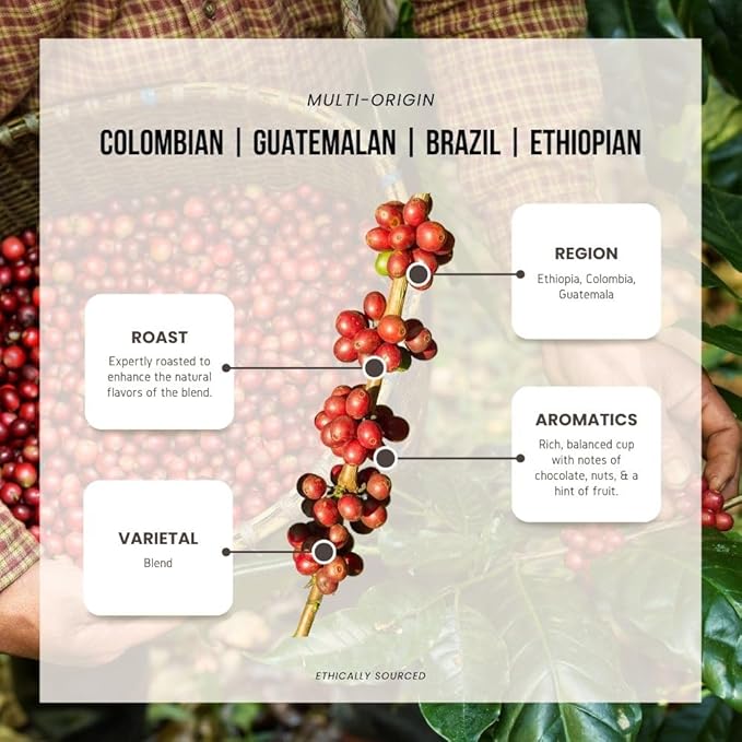 Reborn Coffee Specialty Whole Bean Coffee, Medium Roast, 12 Ounce, Premium Valencia Signature Blend, Flavor Notes of Chocolate, Nut, and Fruit