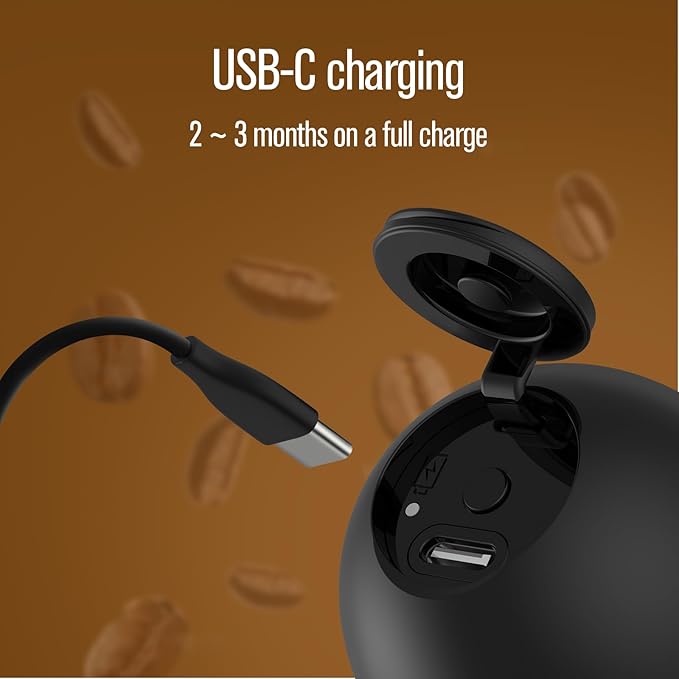 Hiltton Rechargeable Milk Frother with Stand & Travel Pouch – Portable Electric Handheld Frother, Stainless Steel Waterproof Detachable Whisk, Drink Mixer for Lattes, Cappuccinos & More