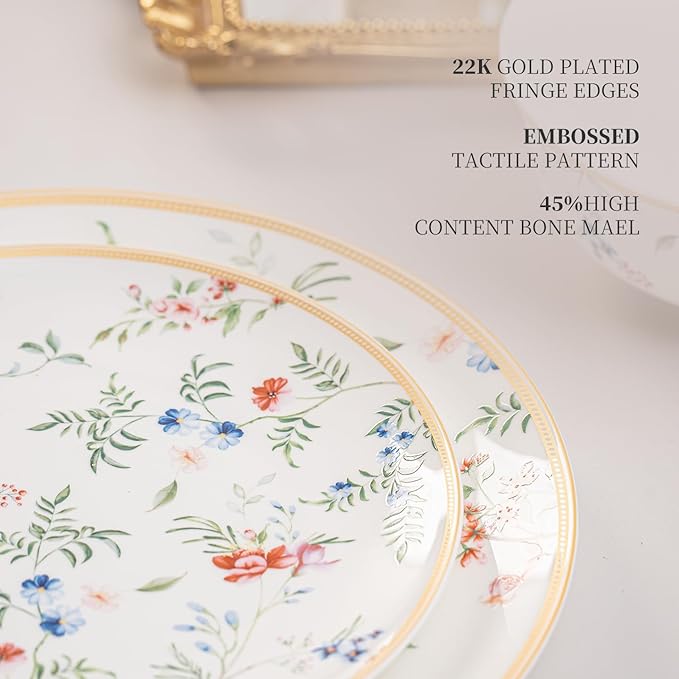 Bone China Plates and Bowels,12-Pieces Dinnerware Sets, Highly Chip and Crack Resistant, Dishwasher & Microwave Safe Dishes Set, Dense and Translucence