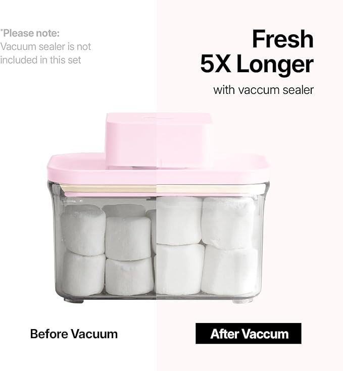 VAKUEN Premium Airtight Food Storage Containers ROSE 0.53qt(0.5L) x2pcs, Patented Double Silicone Lining, 100% Leak Proof, BPA-FREE