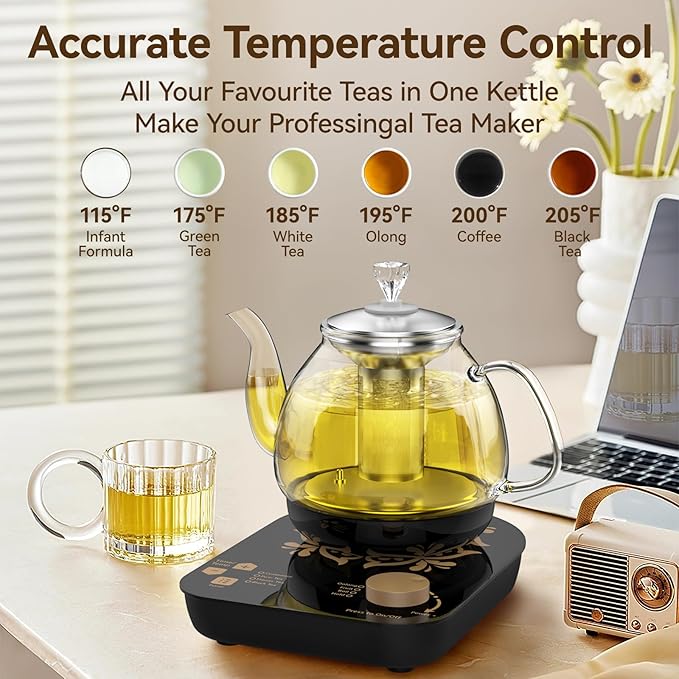 Compact Tea Maker Electric Glass Kettle，Dual Methods of Steaming and Brewing with Temperature and Timer Programs，Cordless 800W 0.8 Liters capacity for get your favorite teas.(pick-up available)