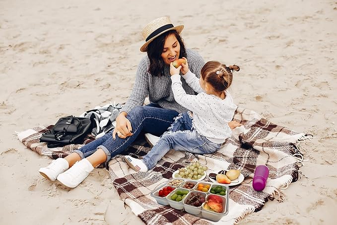 Snackle Box Container Meal Prep Divided Portion Serving Platters and Trays with Lid Handle Reusable Vacation Camping Travel Beach Essentials Food Fruit Veggie Organizers and Storage for Fridge