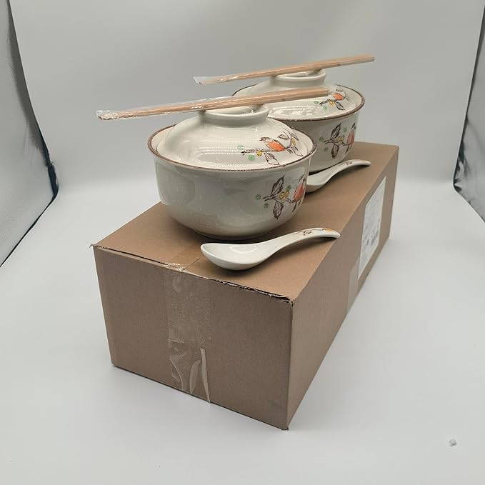 Ceramic Ramen Bowl Set, 800ml, with Lid, Spoon and Chopsticks, Japanese Vintage Large Soup Bowls Instant Noodle Bowl Asian Tableware (Dird*2)