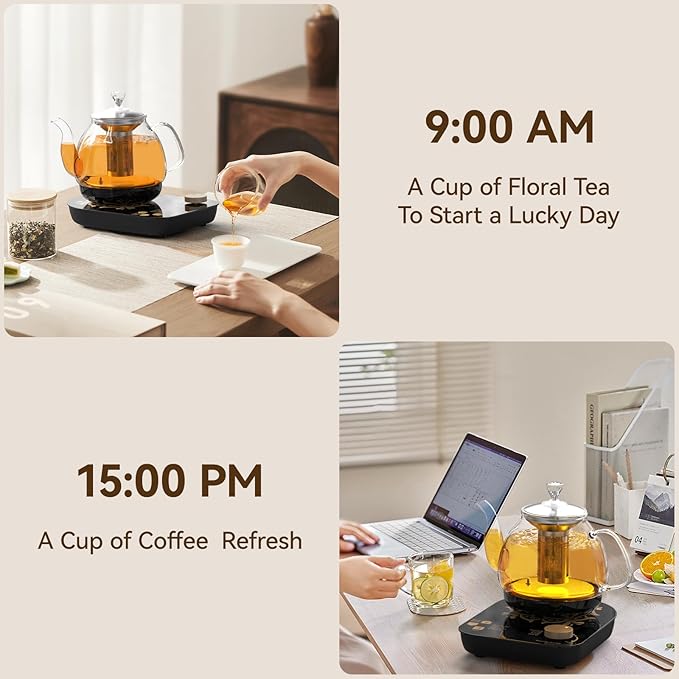 Compact Tea Maker Electric Glass Kettle，Dual Methods of Steaming and Brewing with Temperature and Timer Programs，Cordless 800W 0.8 Liters capacity for get your favorite teas.(pick-up available)