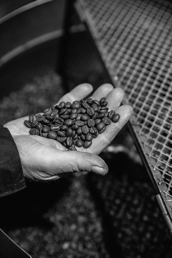 Bristot 100% Arabica Espresso Beans | Italian Espresso Beans | Medium Roast | 1.1lb/500g (Pack of 2)