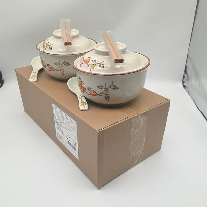 Ceramic Ramen Bowl Set, 800ml, with Lid, Spoon and Chopsticks, Japanese Vintage Large Soup Bowls Instant Noodle Bowl Asian Tableware (Dird*2)