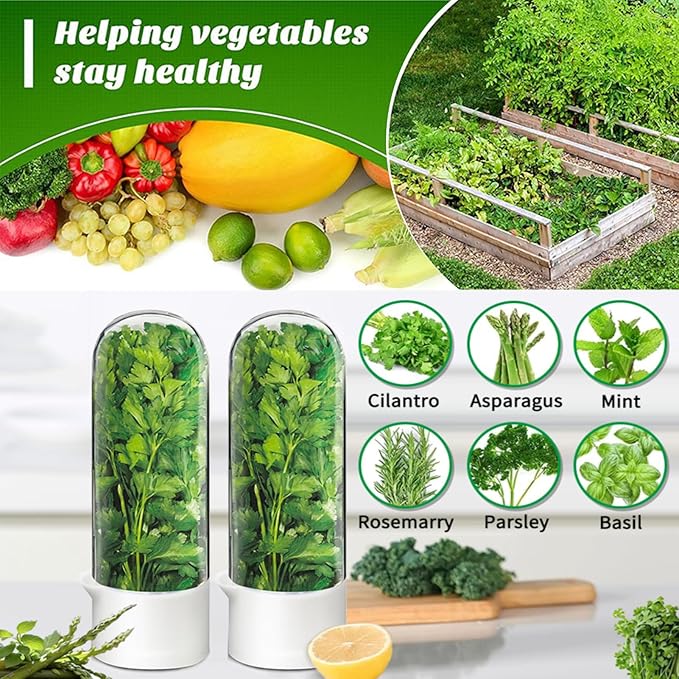 Cilantro Container for Fridge, Herb Saver for Refrigerator - Fresh Herb Keeper for Cilantro, Basil, Asparagus, Parsley, Keeps Greens Vegetables for 2-3 Weeks (1PCS)