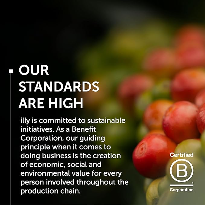 Illy Ground Espresso Coffee, Brasile Cerrado Mineiro Medium Roast - Notes of Caramel and Dried Fruit -100% Arabica-Pre-Ground for Espresso-Pressurized Packaging Sealed for Freshness - 8.8oz(Pack of 6)