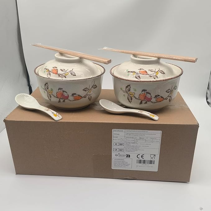 Ceramic Ramen Bowl Set, 800ml, with Lid, Spoon and Chopsticks, Japanese Vintage Large Soup Bowls Instant Noodle Bowl Asian Tableware (Dird*2)