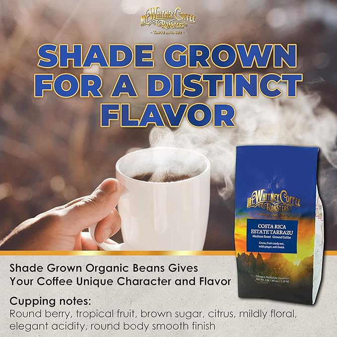 Mt. Whitney Costa Rica Estate Tarrazu Low Acid Coffee (Ground, 5 Lb)