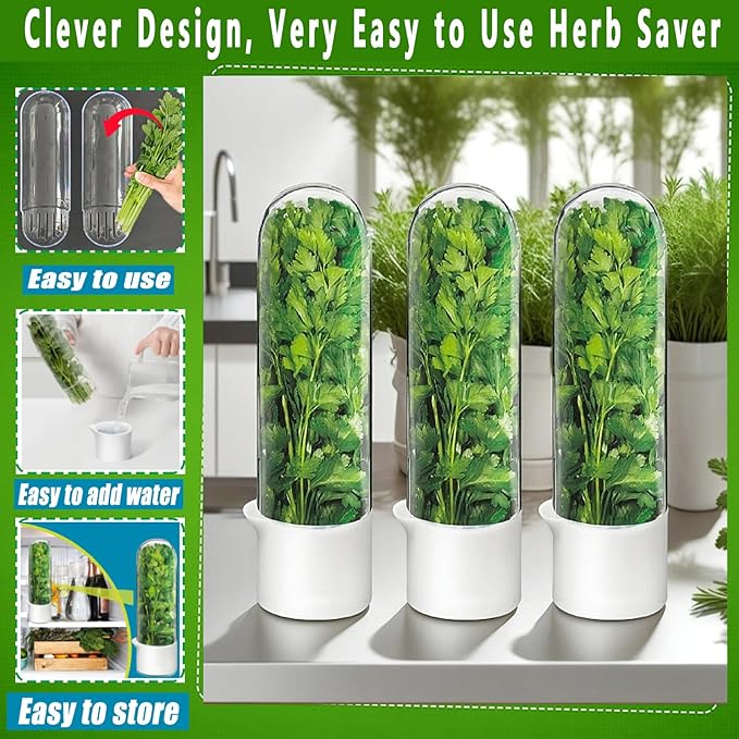 Herb Saver for Refrigerator - Herb Keeper & Cilantro Container for Fridge | Vegetable Preservation Storage Container for Cilantro, Basil, Asparagus | Extends Freshness Up to 2-3 Weeks (3PCS)