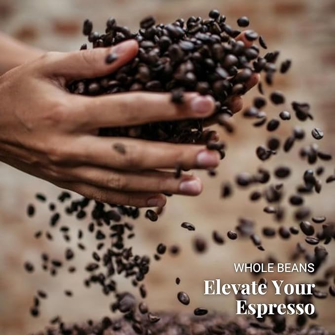 Caffe Vergnano 1882 Antica Bottega Whole Bean Arabica Medium Roast Espresso, 1.1 lbs Bag - Italian Coffee Beans with notes of Chocolate, Nuts & Caramel, Intensity 5/10-500g Bag