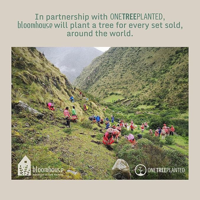 Bloomhouse Santorini Mist Double Bowl Terracotta Reactive Glaze Plates and Bowls Dinnerware Set - Amber, Service for Four (16pcs)